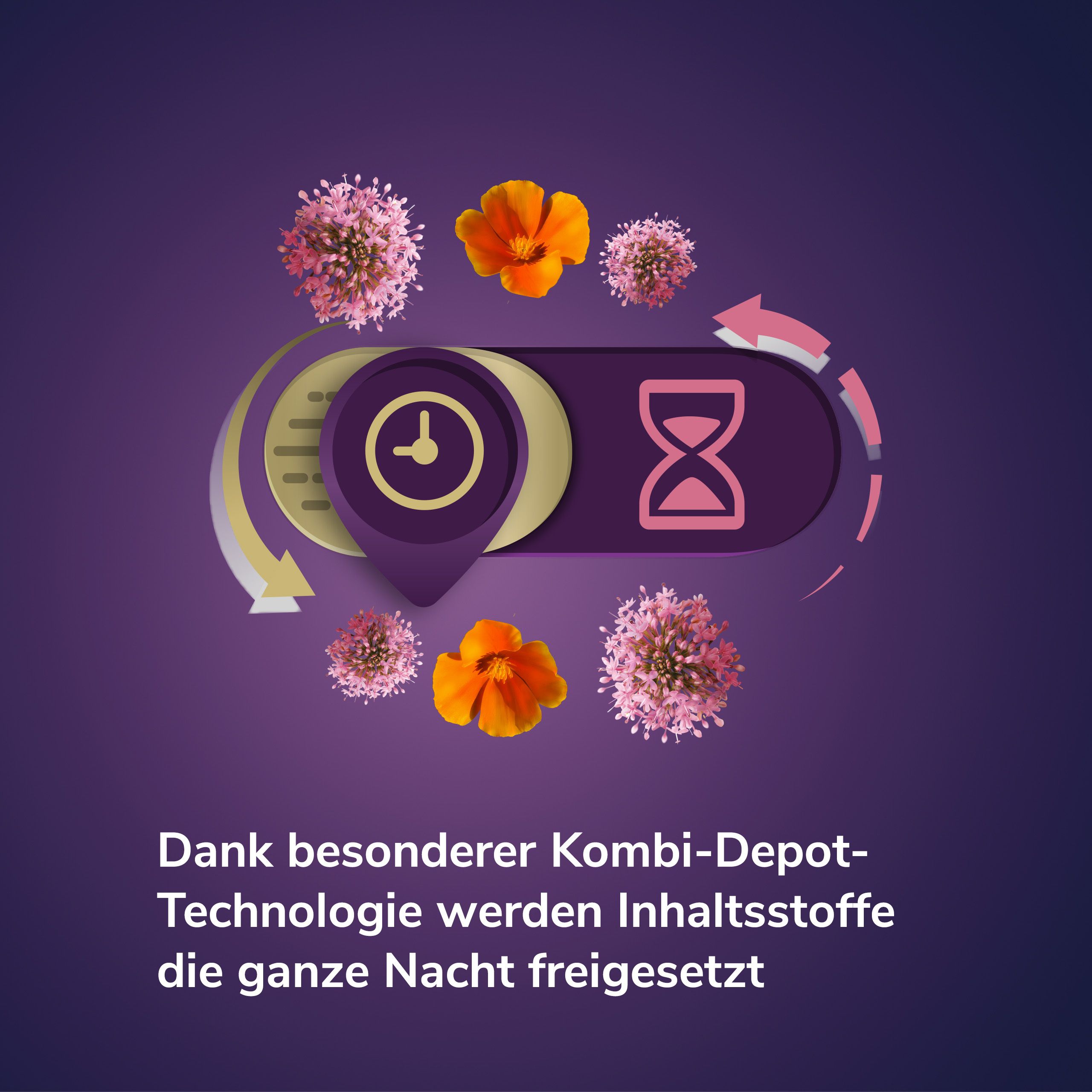 Grafik mit Uhr und Sanduhr. Text: Dank besonderer Kombi-Depot-Technologie werden Inhaltsstoffe die ganze Nacht freigesetzt.