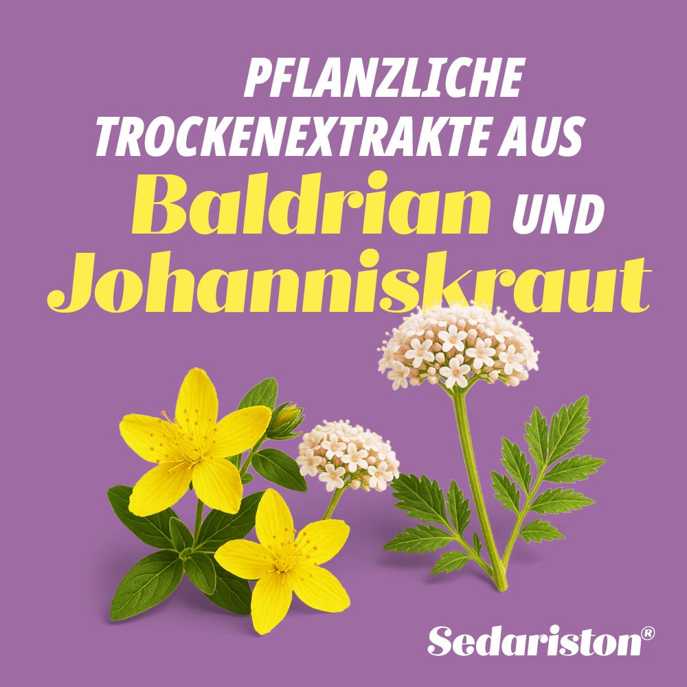 Lila Hintergrund mit Text: Pflanzliche Trockenextrakte aus Baldrian und Johanniskraut. Abbildung von Pflanzen und Sedariston®.