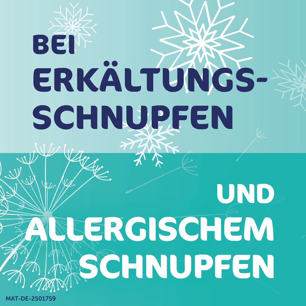 Text: BEI ERKÄLTUNGSSCHNUPFEN UND ALLERGISCHEM SCHNUPFEN. Schneeflocken und Blüten.