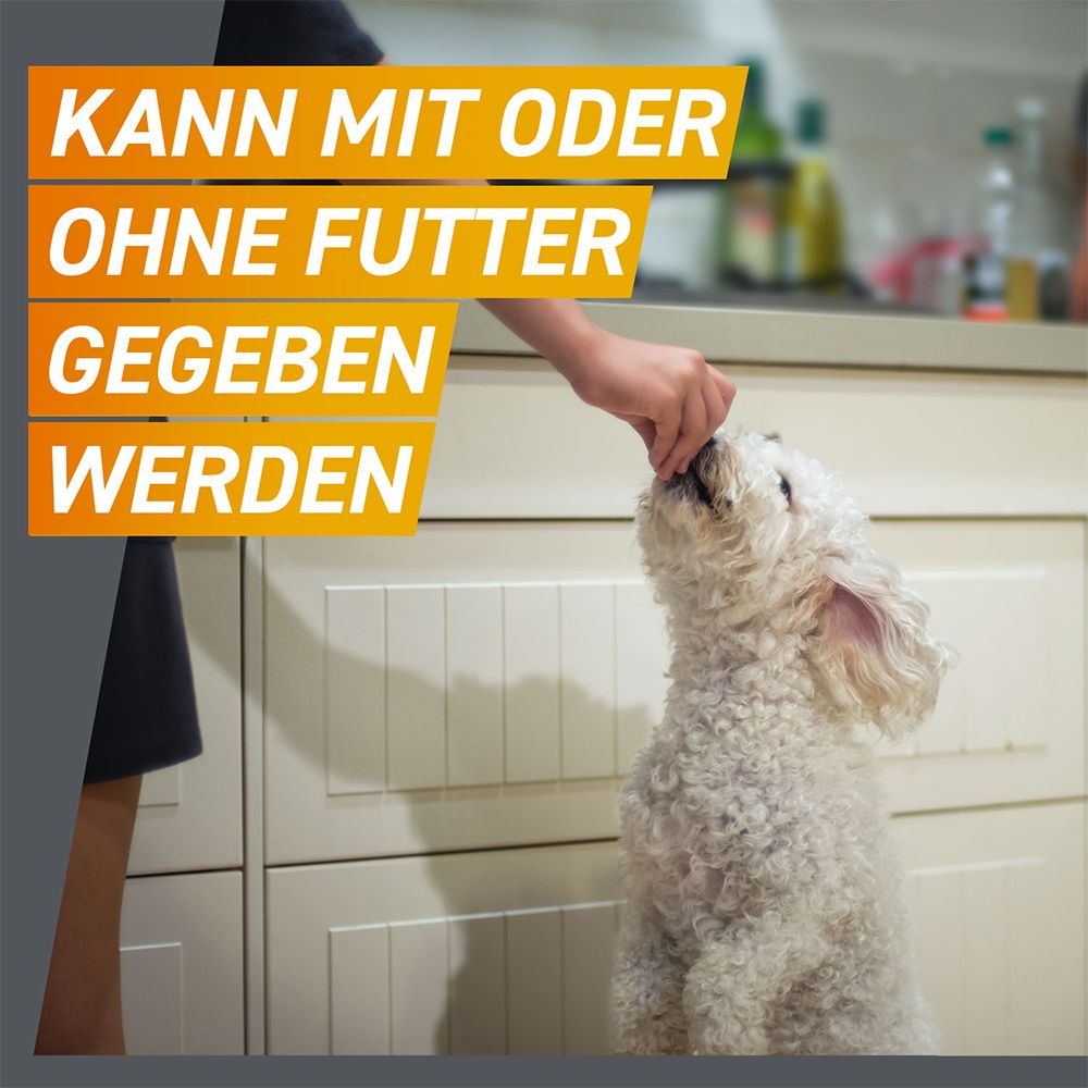 FRONTPRO® Kautablette gegen Zecken und Flöhe für Hunde (2-4kg)