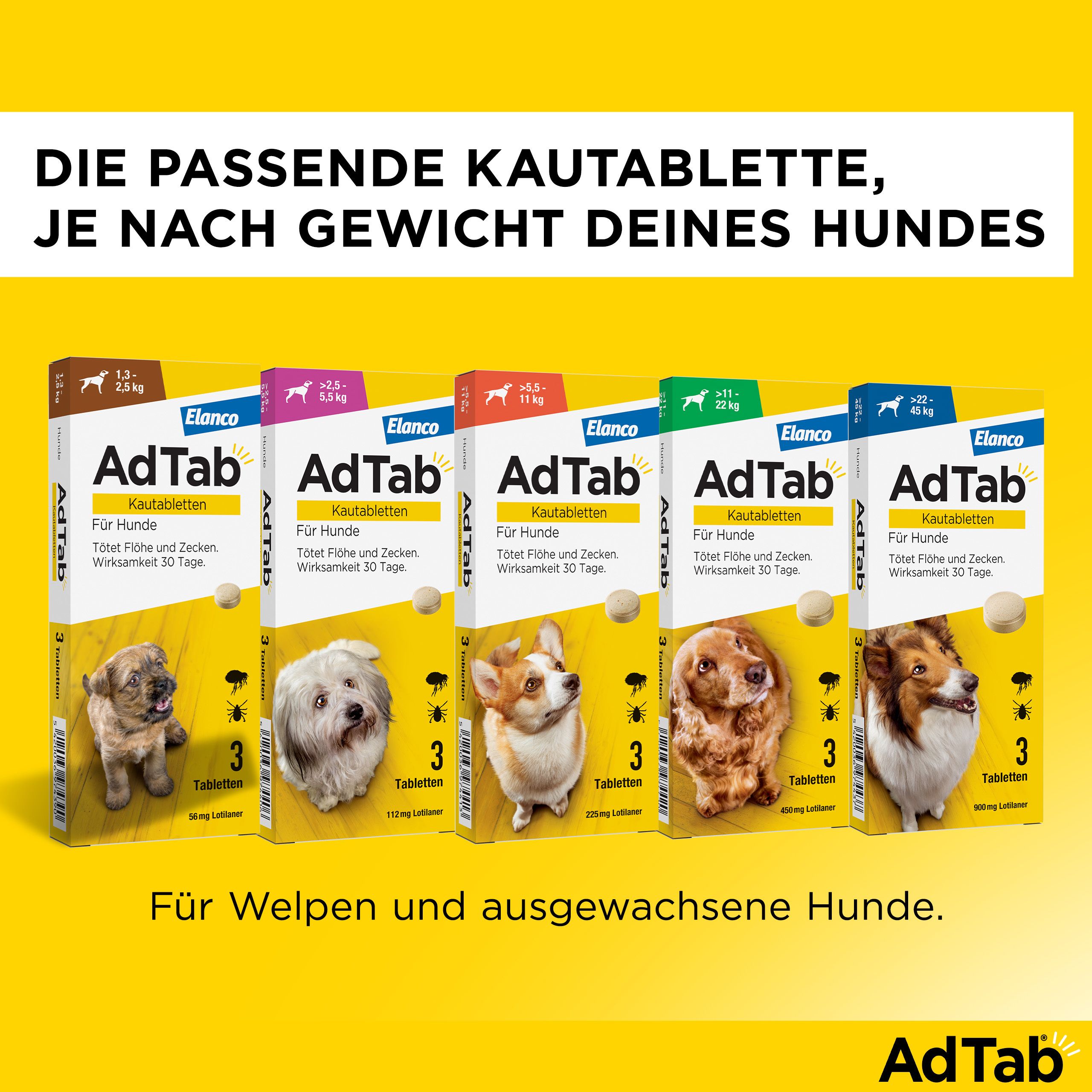 Reihe von AdTab-Verpackungen für Hunde unterschiedlicher Gewichtsklassen. Aufdruck: Kautabletten für Hunde. 3 Tabletten. Für Welpen und erwachsene Hunde.