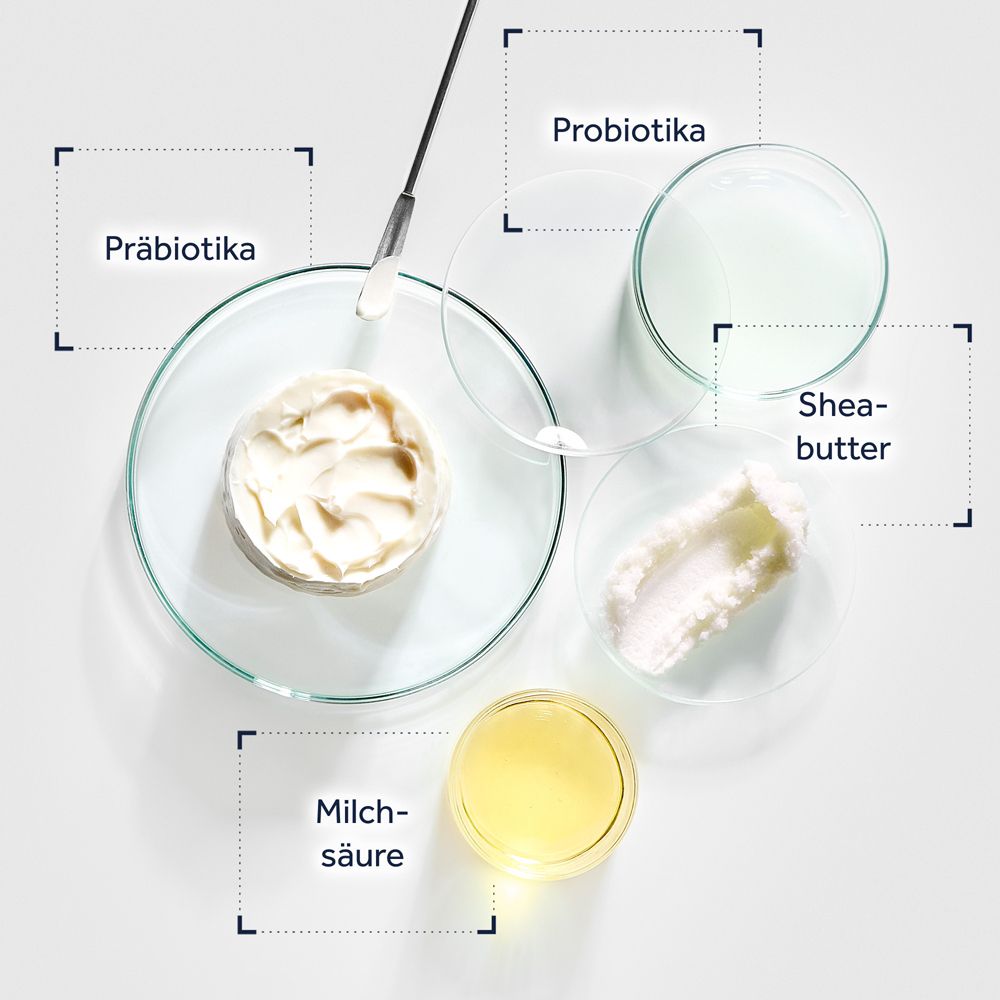 Petrischalen mit Präbiotika, Sheabutter, Milchsäure und einer Creme-Probe.