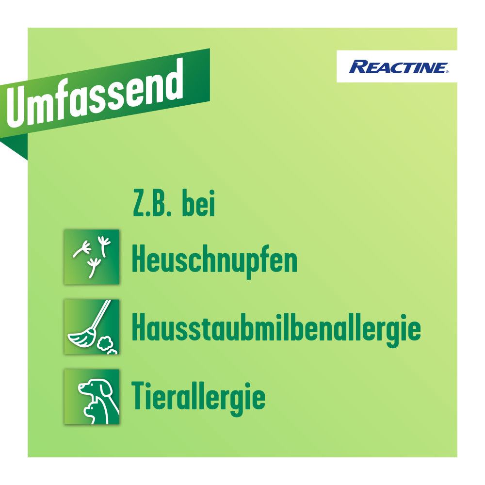 Grüner Hintergrund mit Symbolen für Heuschnupfen, Hausstaubmilbenallergie und Tierallergie.
