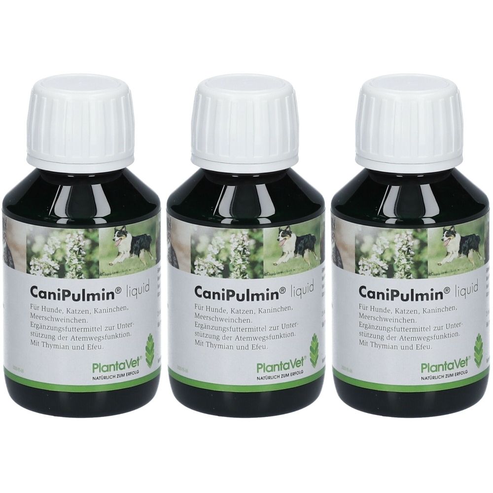 Drei Flaschen CaniPulmin liquid. Schwarze Flüssigkeit in braunen Glasflaschen mit weißen Deckeln. Etikett mit Produktnamen und Logo.