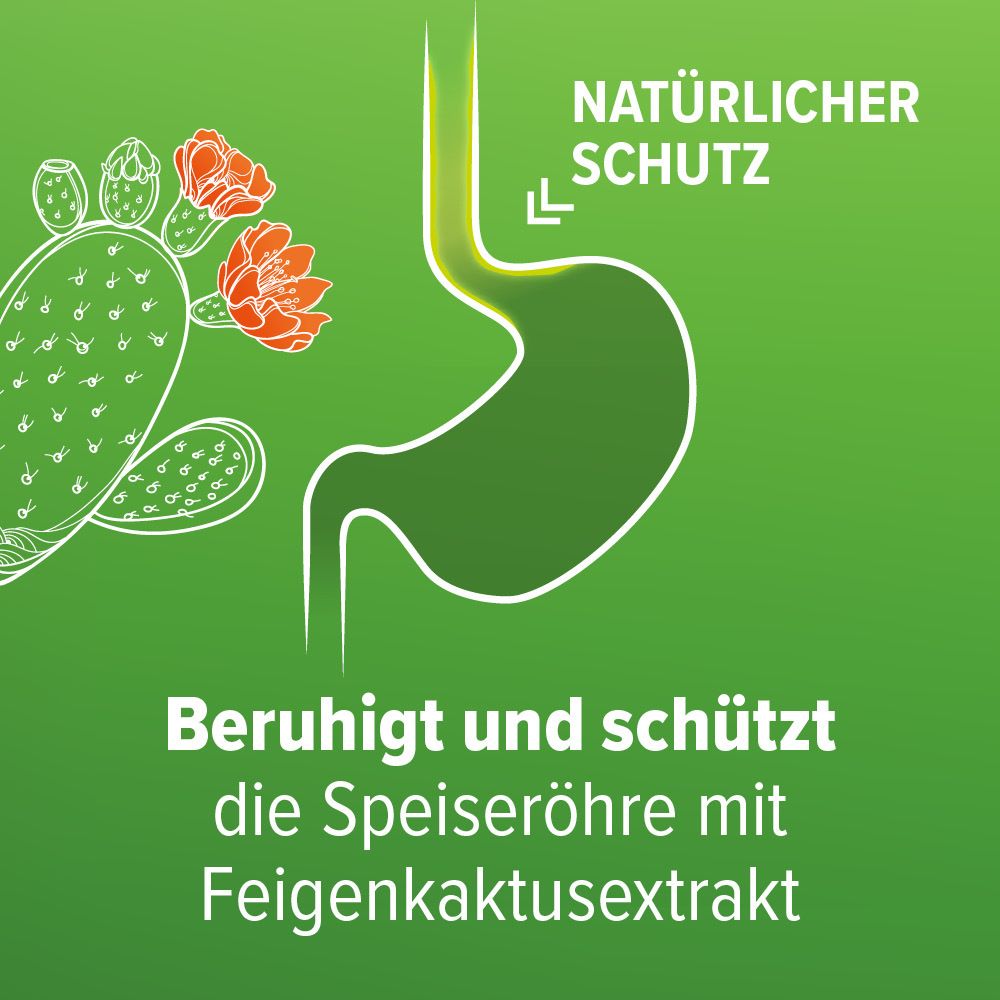 Refluthin® bei Sodbrennen - Minzgeschmack - Schnelle Hilfe bei Reflux - Schützt die Speiseröhre - gut verträglich