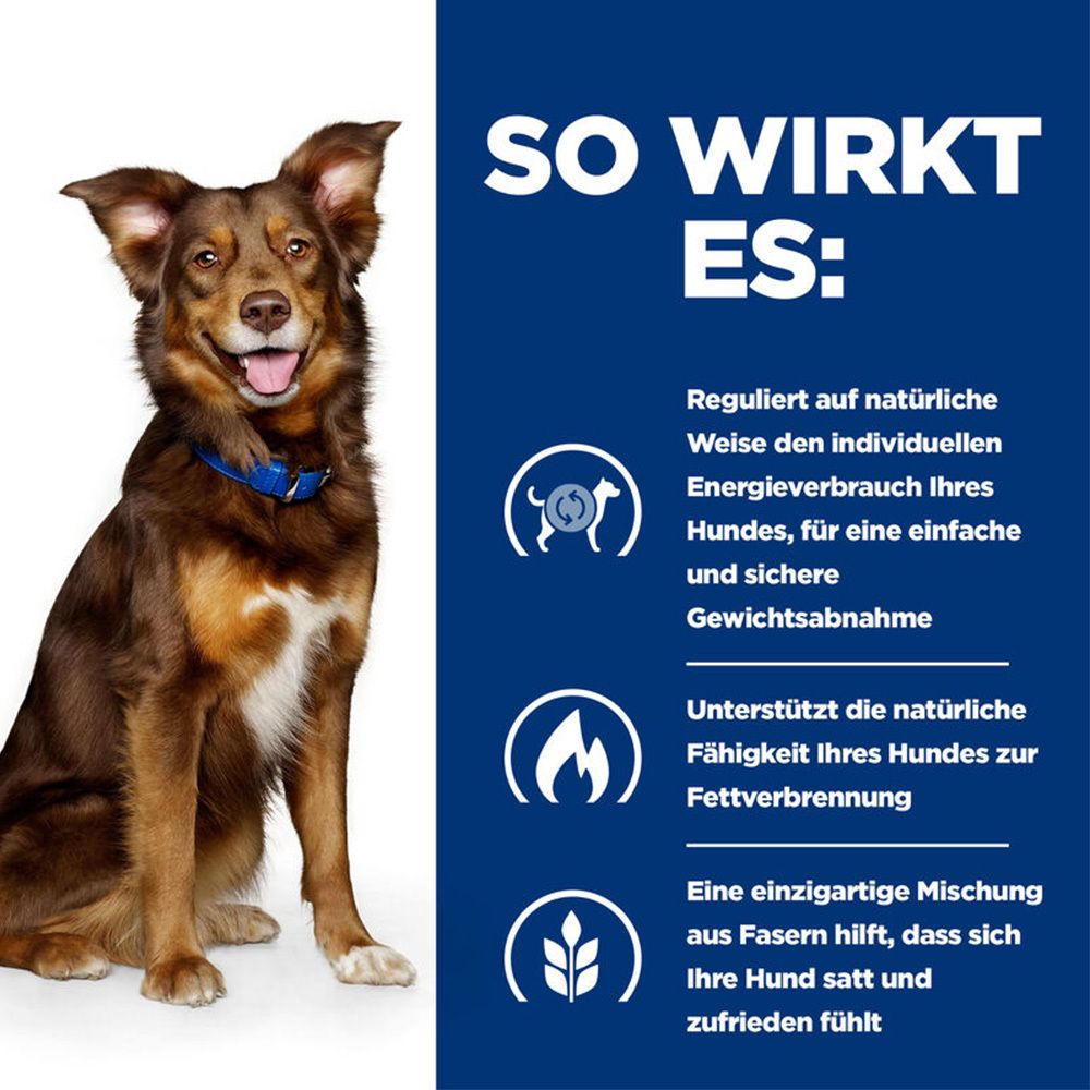 Hund mit blauem Halsband neben Text. Text: So wirkt es. Reguliert Energieverbrauch, unterstützt Fettverbrennung, sättigende Fasern.