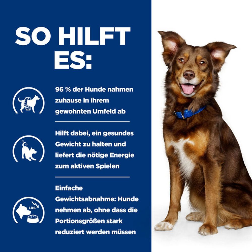 Hund mit blauem Halsband neben Text. Text: So hilft es. 96% der Hunde nahmen ab, gesundes Gewicht, liefert Energie.