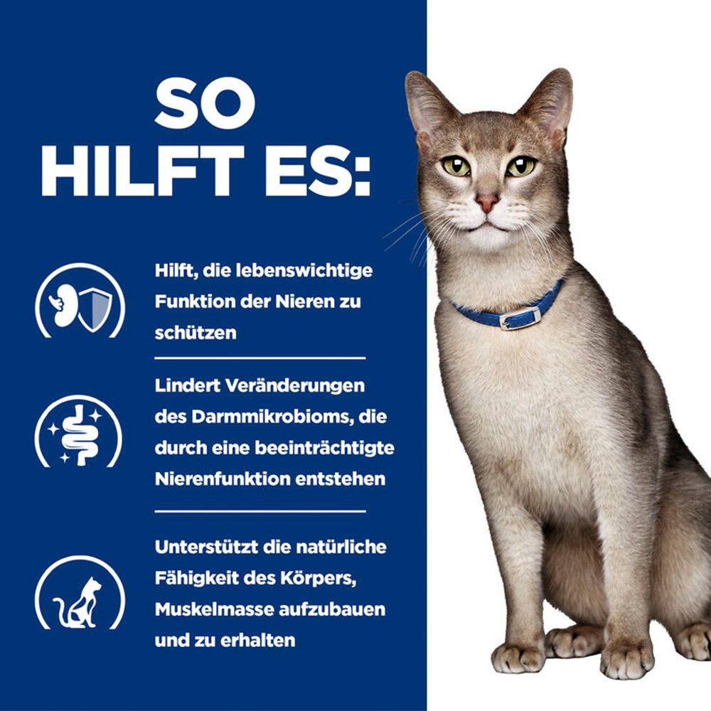 Hill's Prescription Diet k/d Trockenfutter für Katzen mit Huhn zur Unterstützung der Niere