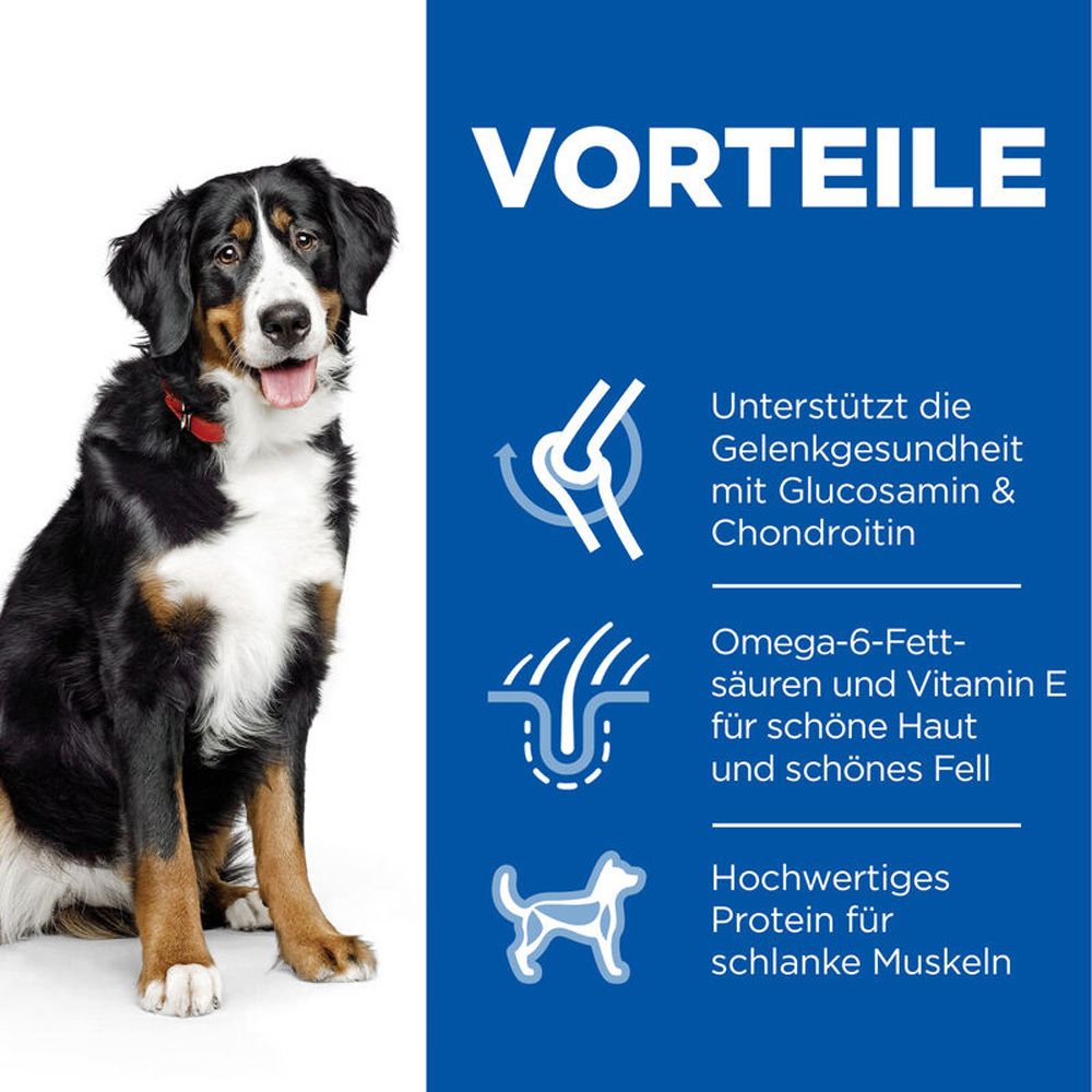 Hill's Science Plan Large Breed Adult Hundefutter mit Huhn
