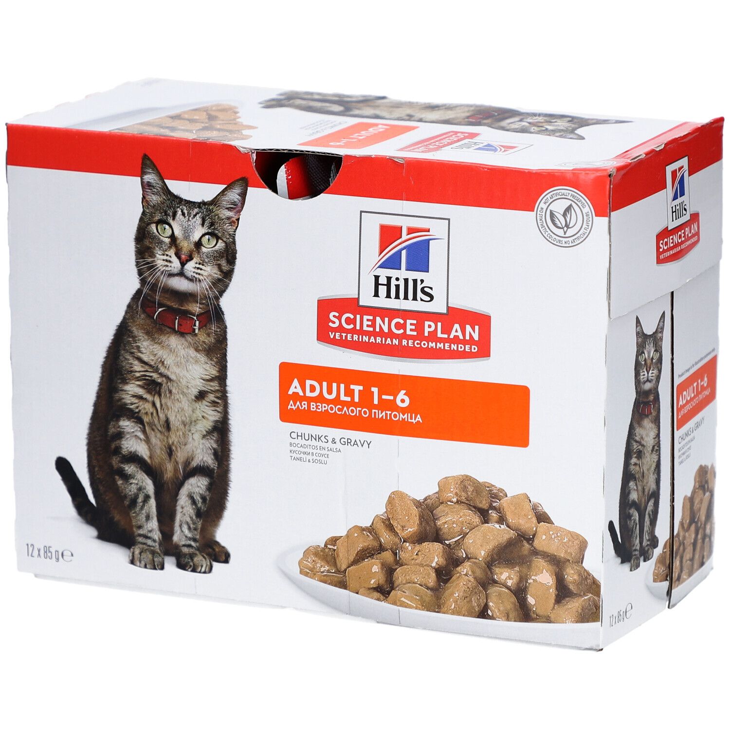 Karton mit Katzenfutter. Aufdruck: Hill's Science Plan, Adult 1-6, Chunks & Gravy. Abbildung einer Katze mit rotem Halsband.
