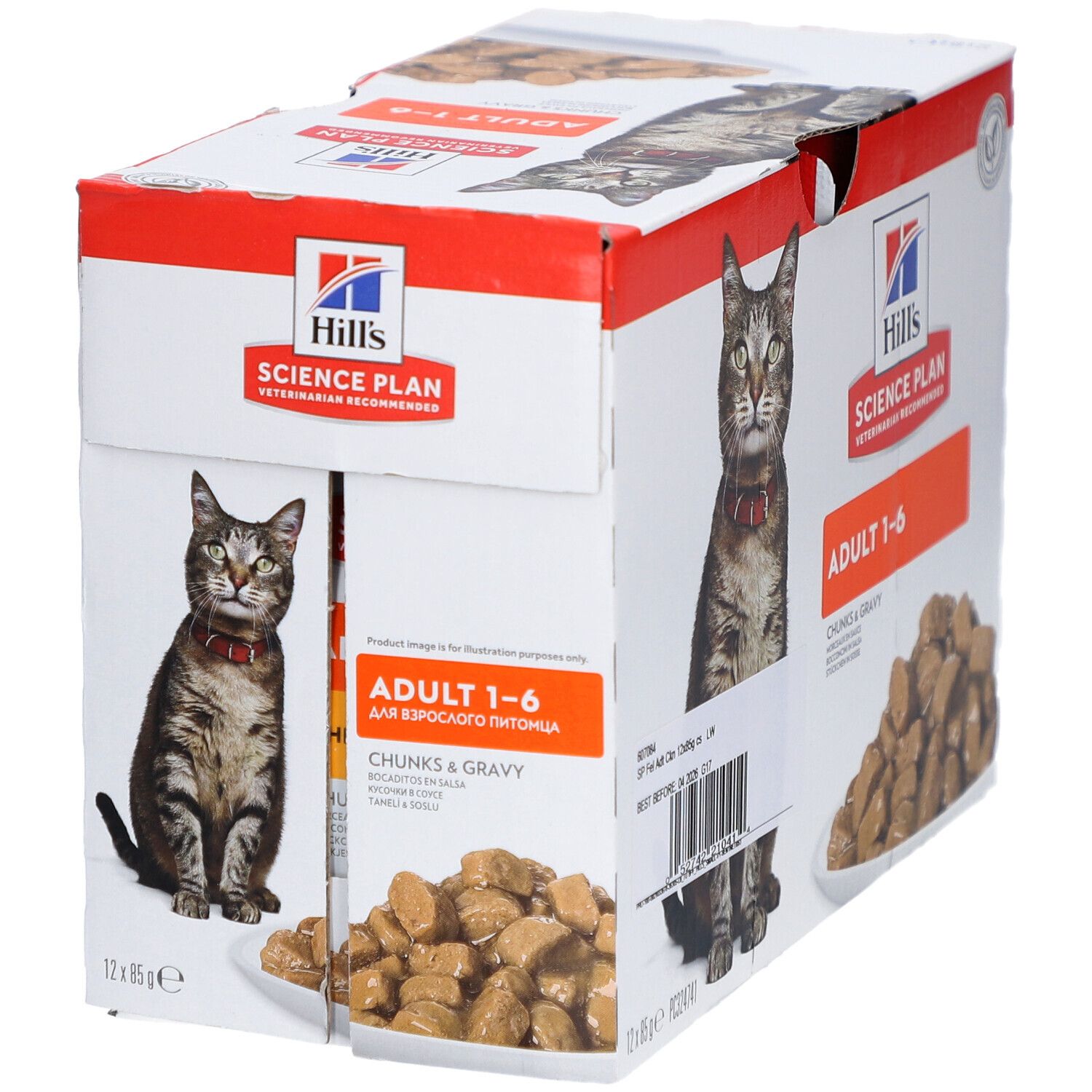 Karton mit Katzenfutter. Aufdruck: Hill's Science Plan, Adult 1-6, Chunks & Gravy. Abbildung einer Katze mit rotem Halsband.