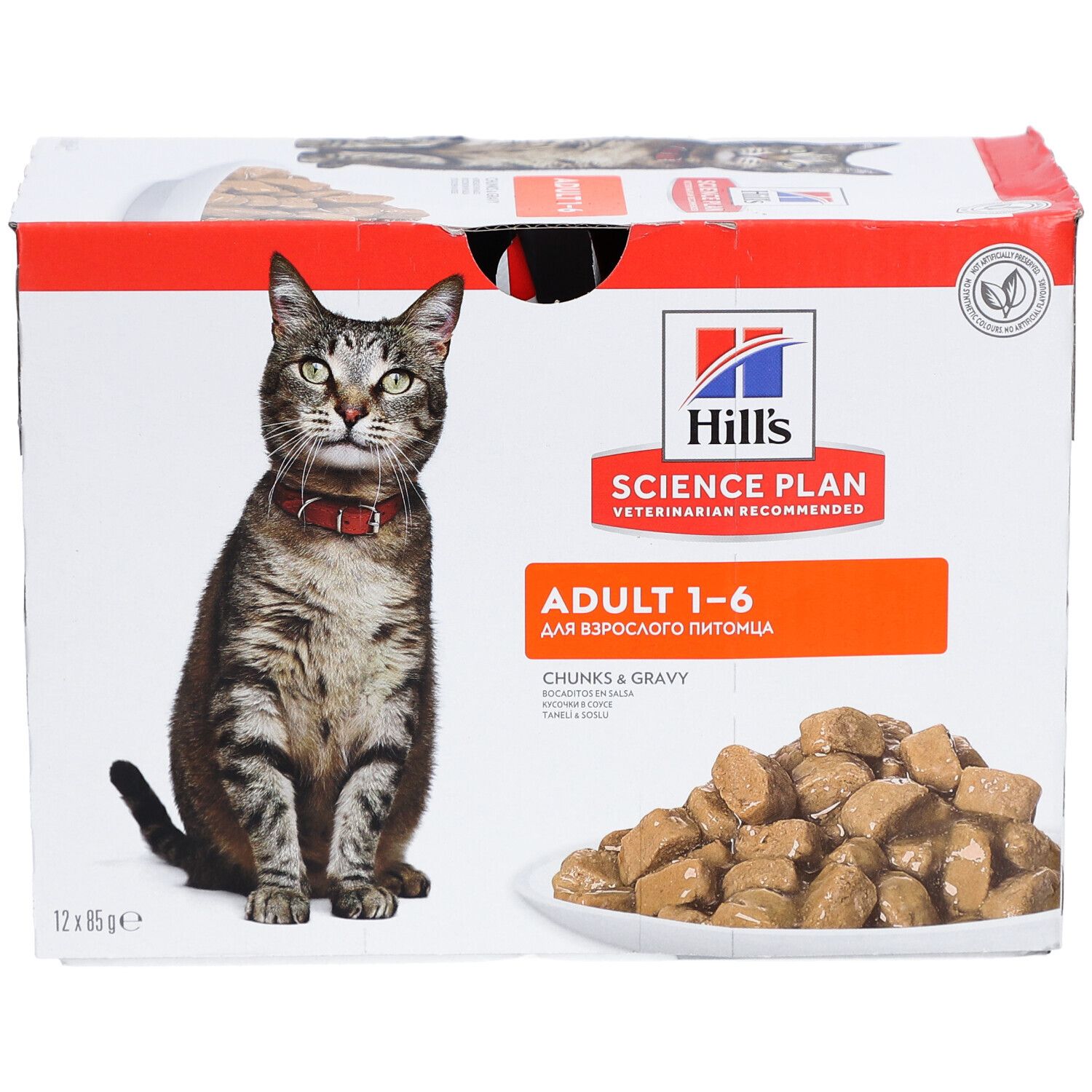 Karton mit Katzenfutter. Aufdruck: Hill's Science Plan, Adult 1-6, Chunks & Gravy. Abbildung einer Katze mit rotem Halsband.