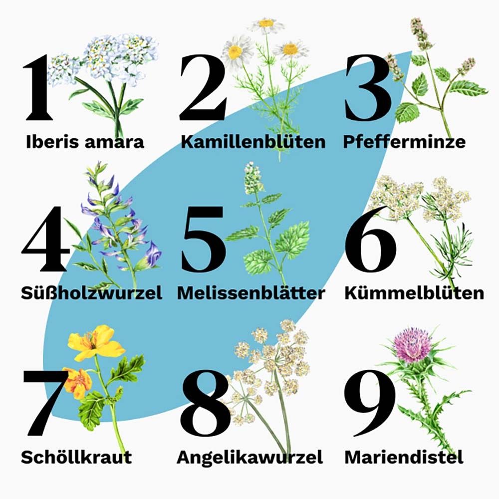 Iberogast® Classic: schnelle Linderung bei akuten Magen-Darm-Beschwerden - Jetzt 15% mit dem Code iberogast15 sparen*