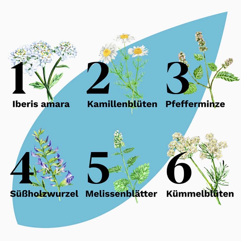 Iberogast® ADVANCE lindert wiederkehrende Magen-Darm-Beschwerden  - Jetzt 15% mit dem Code iberogast15 sparen*