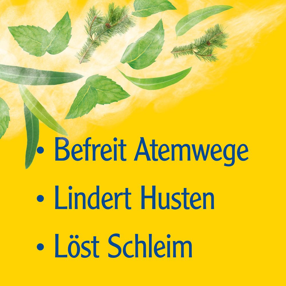 Text auf gelbem Hintergrund: Befreit Atemwege, lindert Husten, löst Schleim.