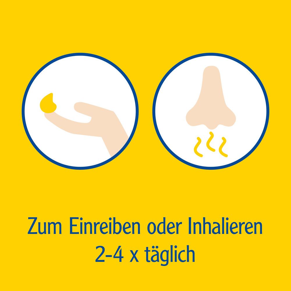 Zwei Kreise mit Piktogrammen: Hand mit Salbe, Nase mit Dampf. Text: Zum Einreiben oder Inhalieren 2-4 x täglich.