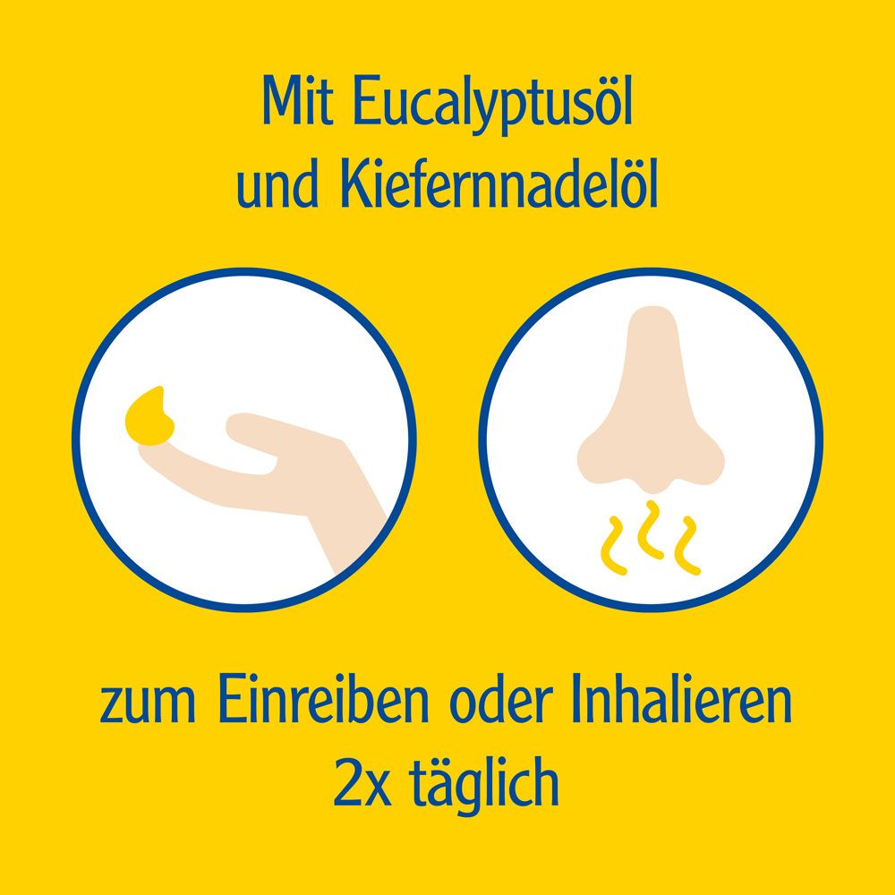Hand mit Produkt, Nase mit Dampf. Text: Mit Eukalyptusöl und Kiefernnadelöl. Zum Einreiben oder Inhalieren.