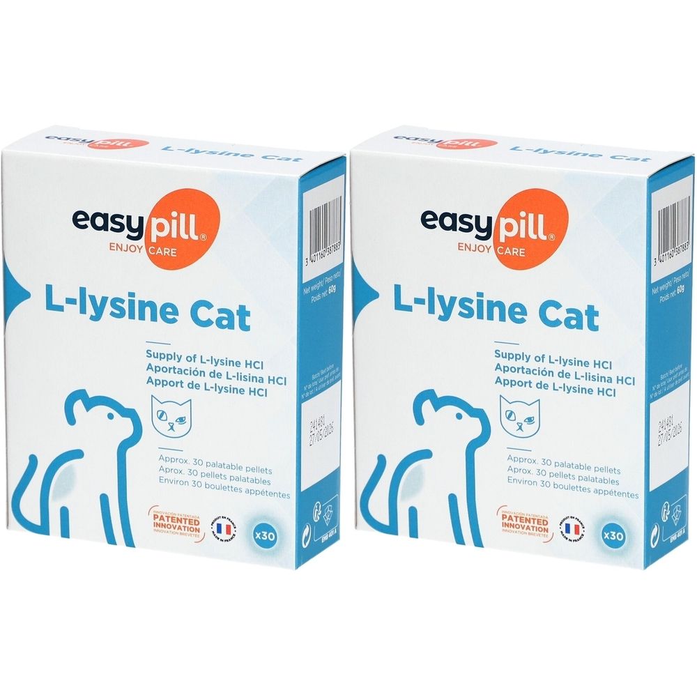 Zwei Kartons mit der Aufschrift "easy pill L-lysine Cat". Blaue und weiße Verpackung mit Katzen-Illustration und Text in mehreren Sprachen.