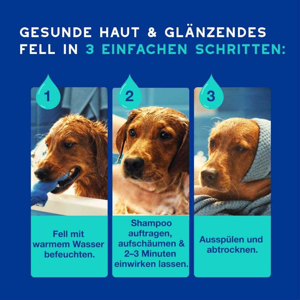 Drei Schritte zur Fellpflege: Anfeuchten, Shampoo auftragen, ausspülen und abtrocknen. Text: Gesunde Haut & glänzendes Fell.