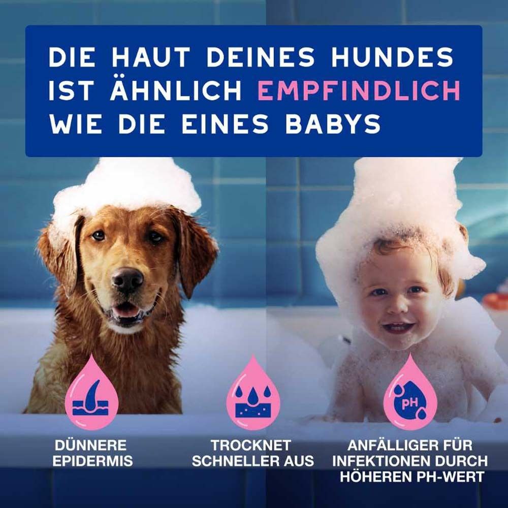 Vergleich Hund und Baby. Text: Die Haut deines Hundes ist ähnlich empfindlich wie die eines Babys. Illustrationen von Haut.