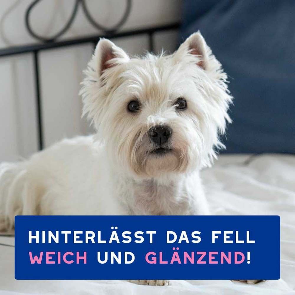 Weißer Hund auf Bett. Text: Hinterlässt das Fell weich und glänzend!