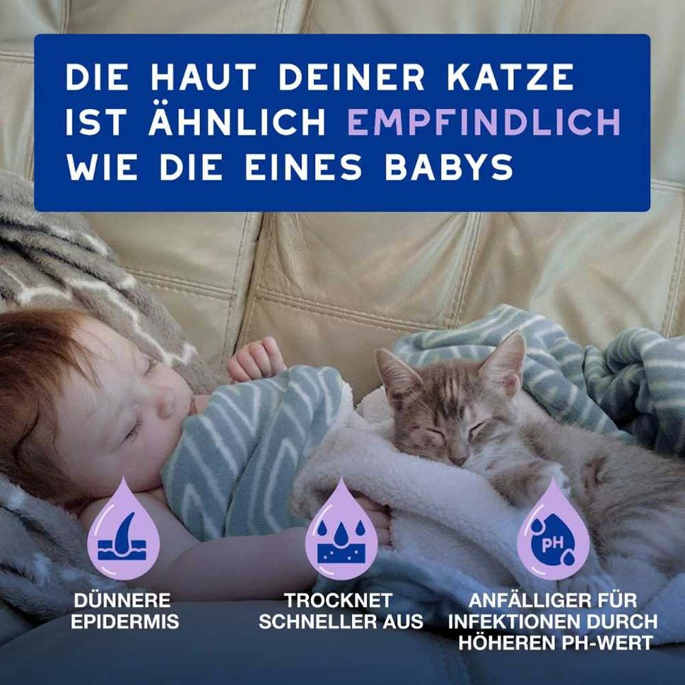 Baby und Katze kuscheln. Text: Die Haut deiner Katze ist ähnlich empfindlich wie die eines Babys. Illustrationen.