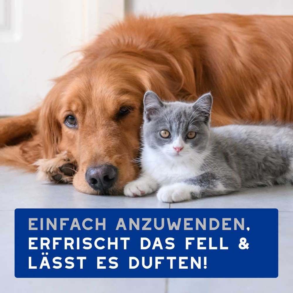 Hund und Katze liegen zusammen. Text: Einfach anzuwenden, erfrischt das Fell & lässt es duften!