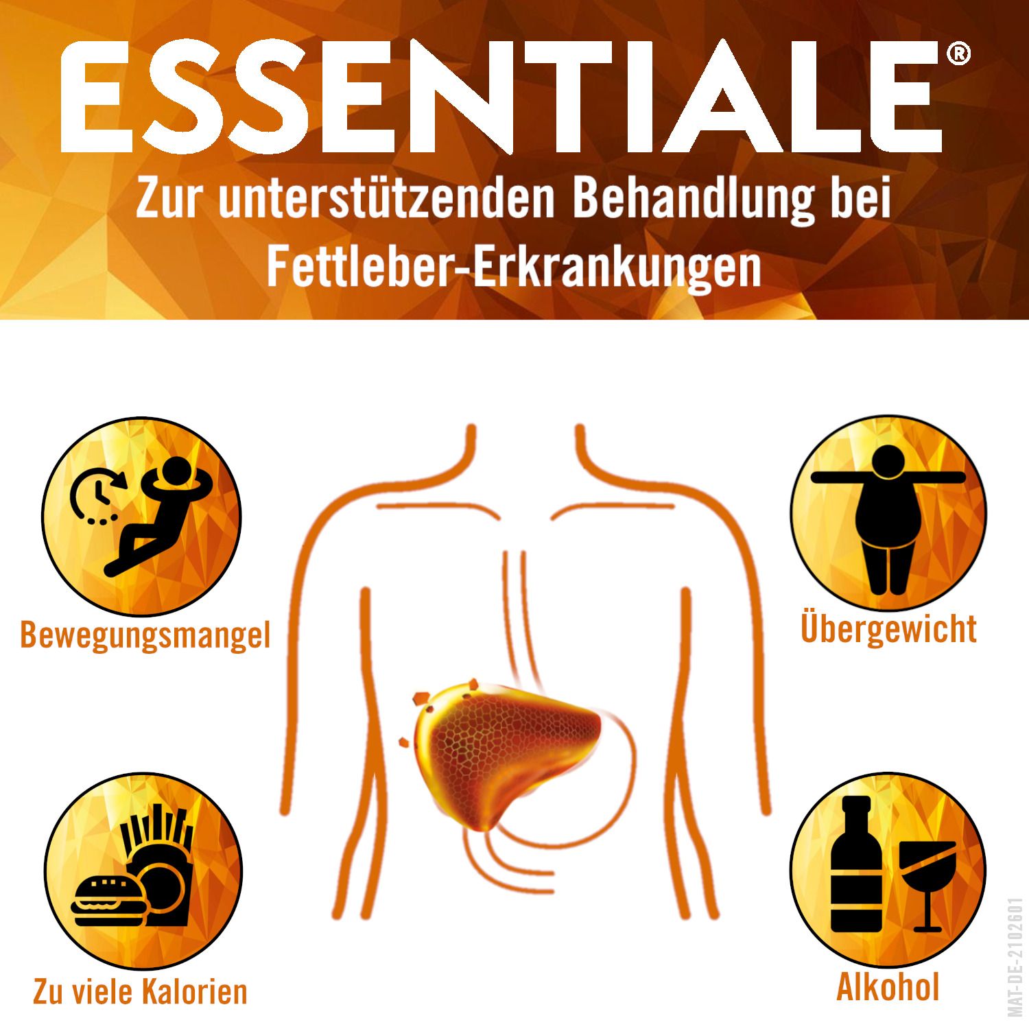 ESSENTIALE® Kapsel 300 mg, Hartkapseln