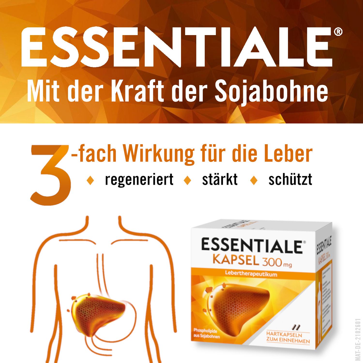 ESSENTIALE® Kapsel 300 mg, Hartkapseln