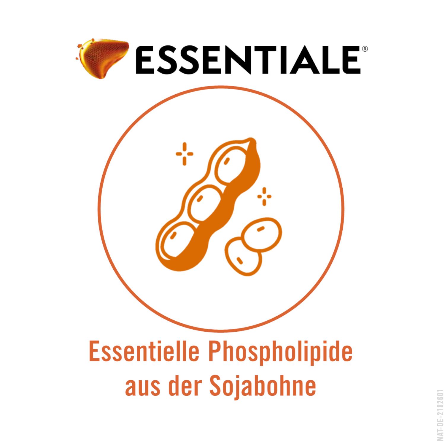 Kreis mit Sojabohnen. Text: Essentielle Phospholipide aus der Sojabohne. ESSENTIALE® Logo.