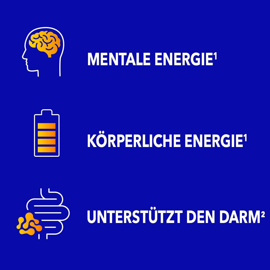 Grafische Darstellung von: Kopf mit Gehirn, Text: Mentale Energie. Batterie, Text: Körperliche Energie. Darm, Text: Unterstützt den Darm.