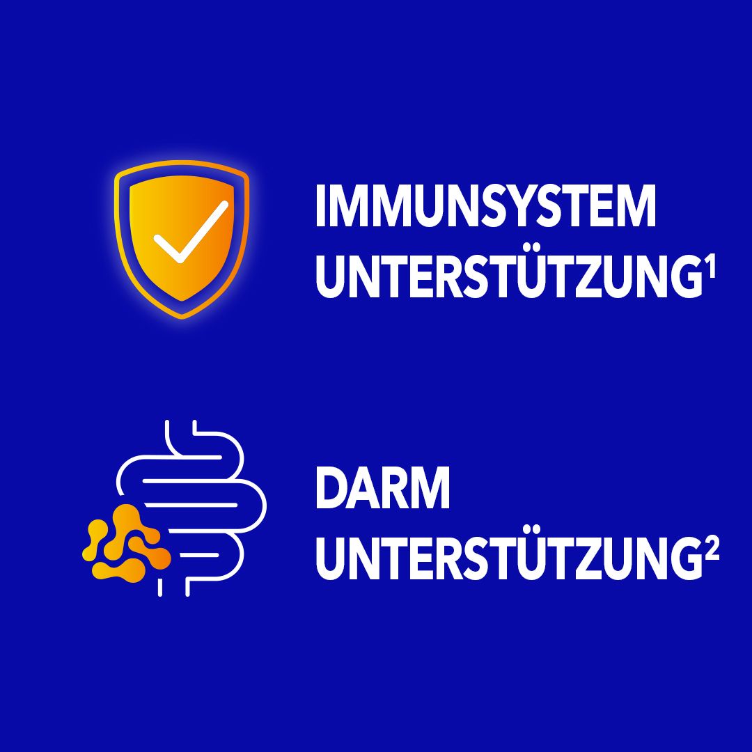 Grafik mit gelbem Schild und Haken, Darm-Illustration. Text: Immunsystem Unterstützung, Darm Unterstützung. Hintergrund: blau.