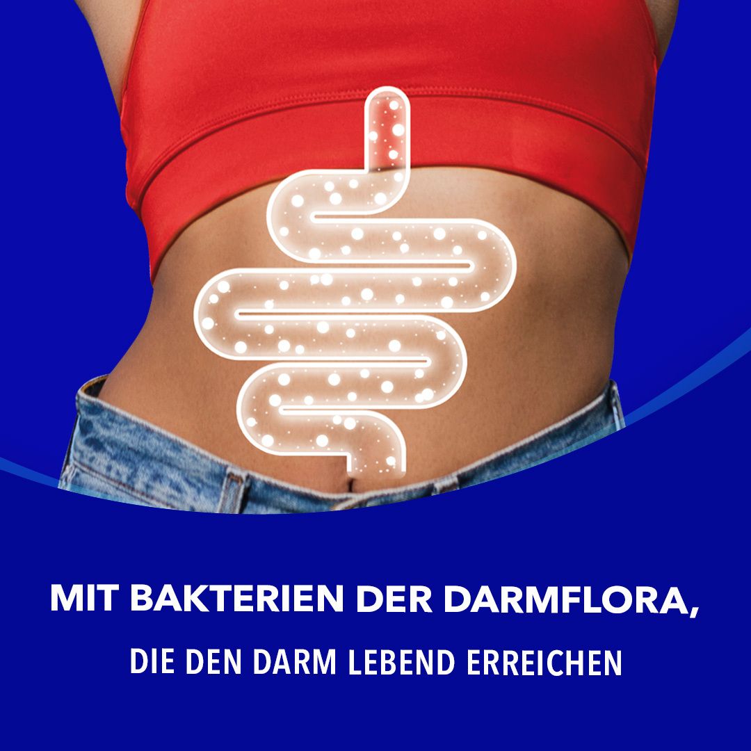 Illustration des Darms mit Bakterien. Text: Mit Bakterien der Darmflora, die den Darm lebend erreichen. Hintergrund: blau.