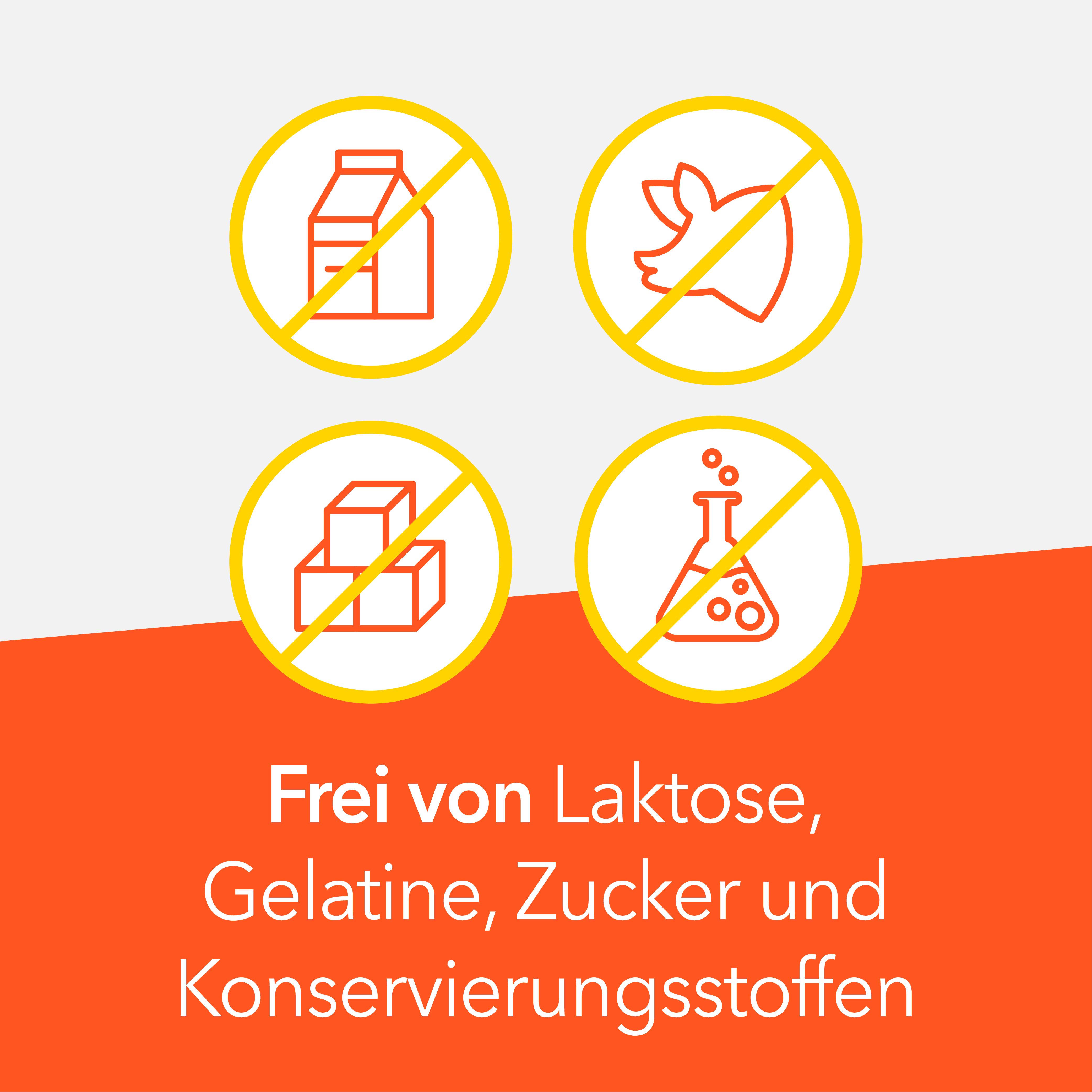 Symbole für Freiheit von Laktose, Gelatine, Zucker und Konservierungsstoffen.