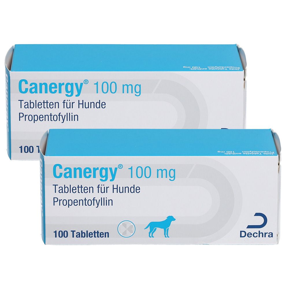 Zwei Schachteln Canergy 100 mg Tabletten für Hunde. Blaue und weiße Verpackung mit Produktnamen und Logo.