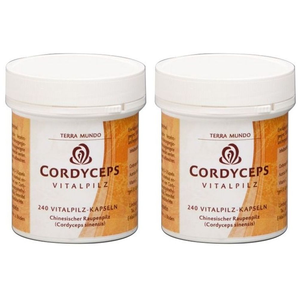 Zwei weiße Dosen mit Aufschrift Cordyceps Vitalpilz. Auf jeder Dose steht: 240 Vitalpilz-Kapseln.