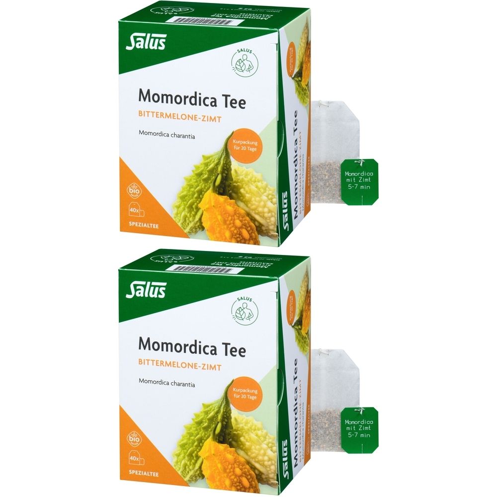 Zwei Kartons Salus Momordica Tee mit Bittermelone-Zimt. Aufdrucke: Momordica Tee, Bittermelone-Zimt, Momordica charantia. Dazu Teebeutel.