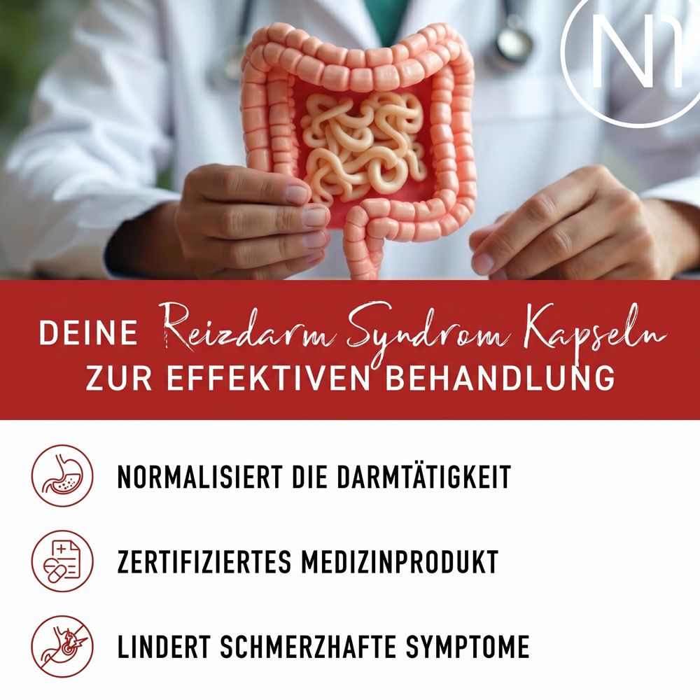 Modell des Darms, gehalten von Händen in Arztkitteln. N1 Reizdarm Kapseln.