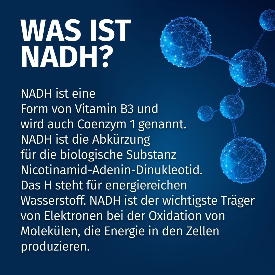 Molekulare Darstellung von NADH, erklärt als Vitamin B3-Form und Coenzym 1.