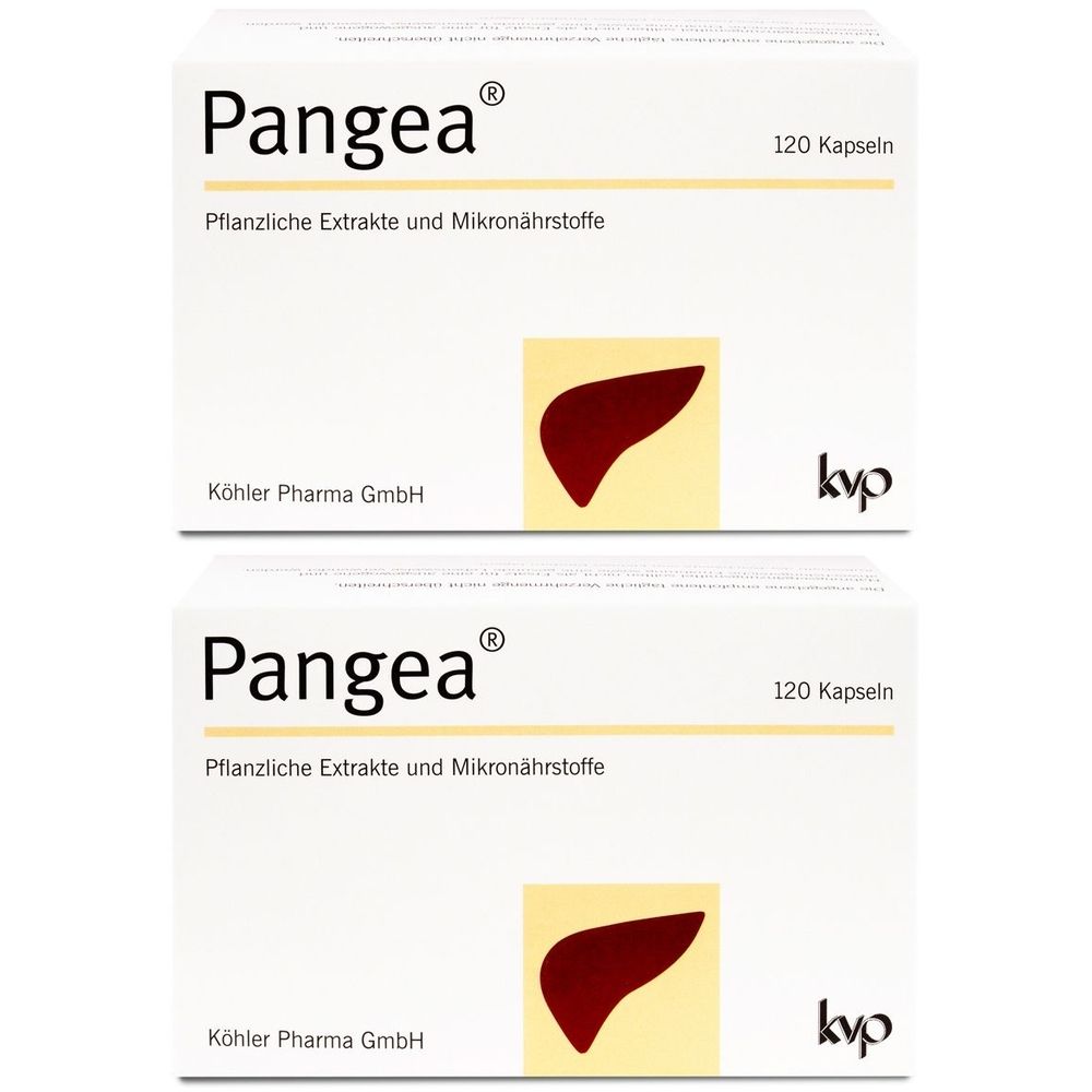 Zwei Schachteln Pangea® Kapseln. Aufschrift: Pflanzliche Extrakte und Mikronährstoffe, 120 Kapseln. Logo: Leberform, kyp.
