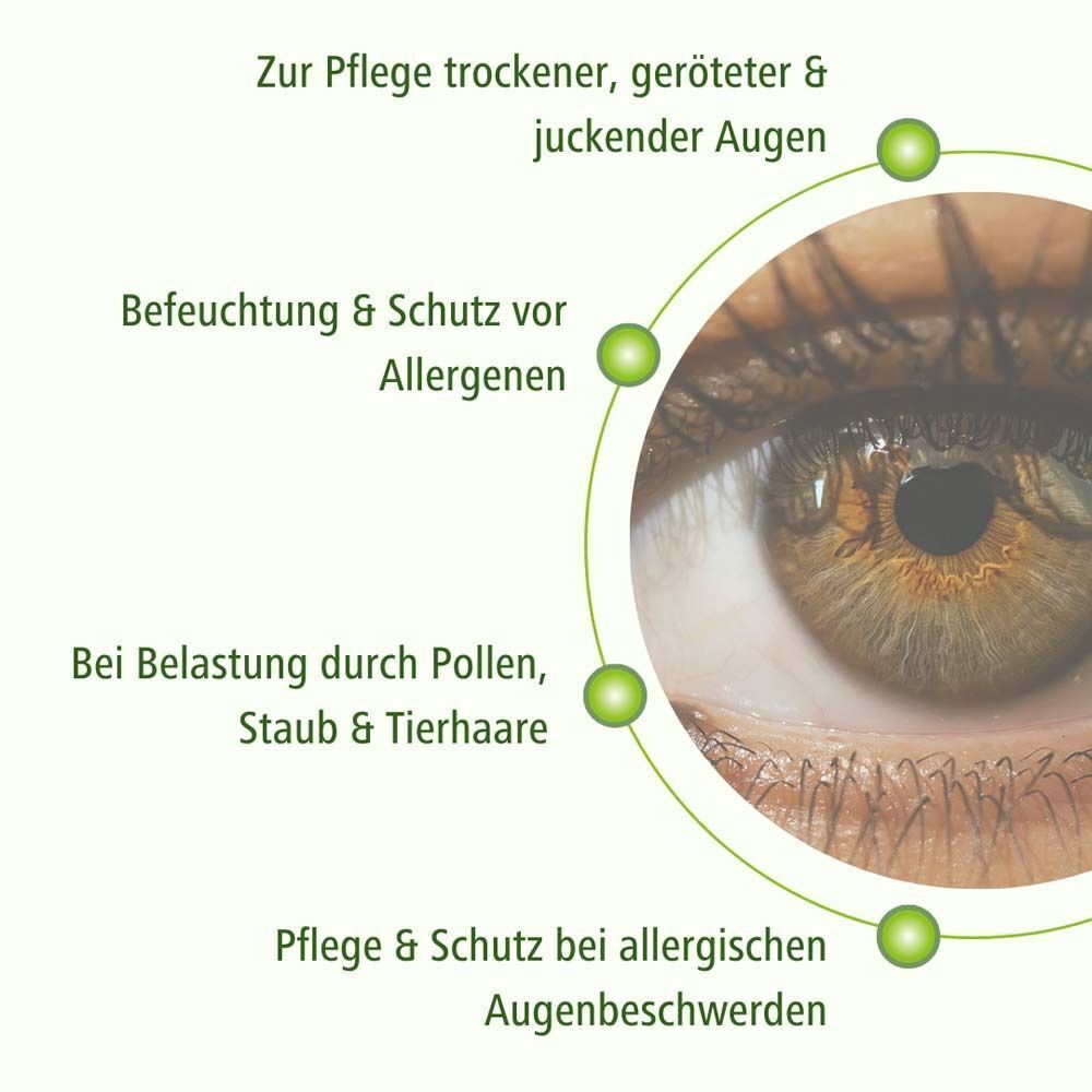 Schema zur Pflege trockener, geröteter und juckender Augen mit DR. THEISS Hydro med Green.