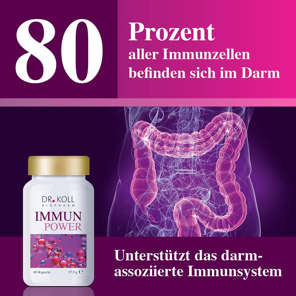 Flasche DR. KOLL IMMUN POWER neben einer schematischen Darstellung des Darms.