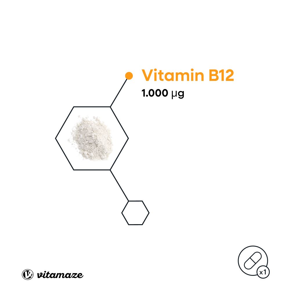 B12 AKTIV 1.000 µg vegan