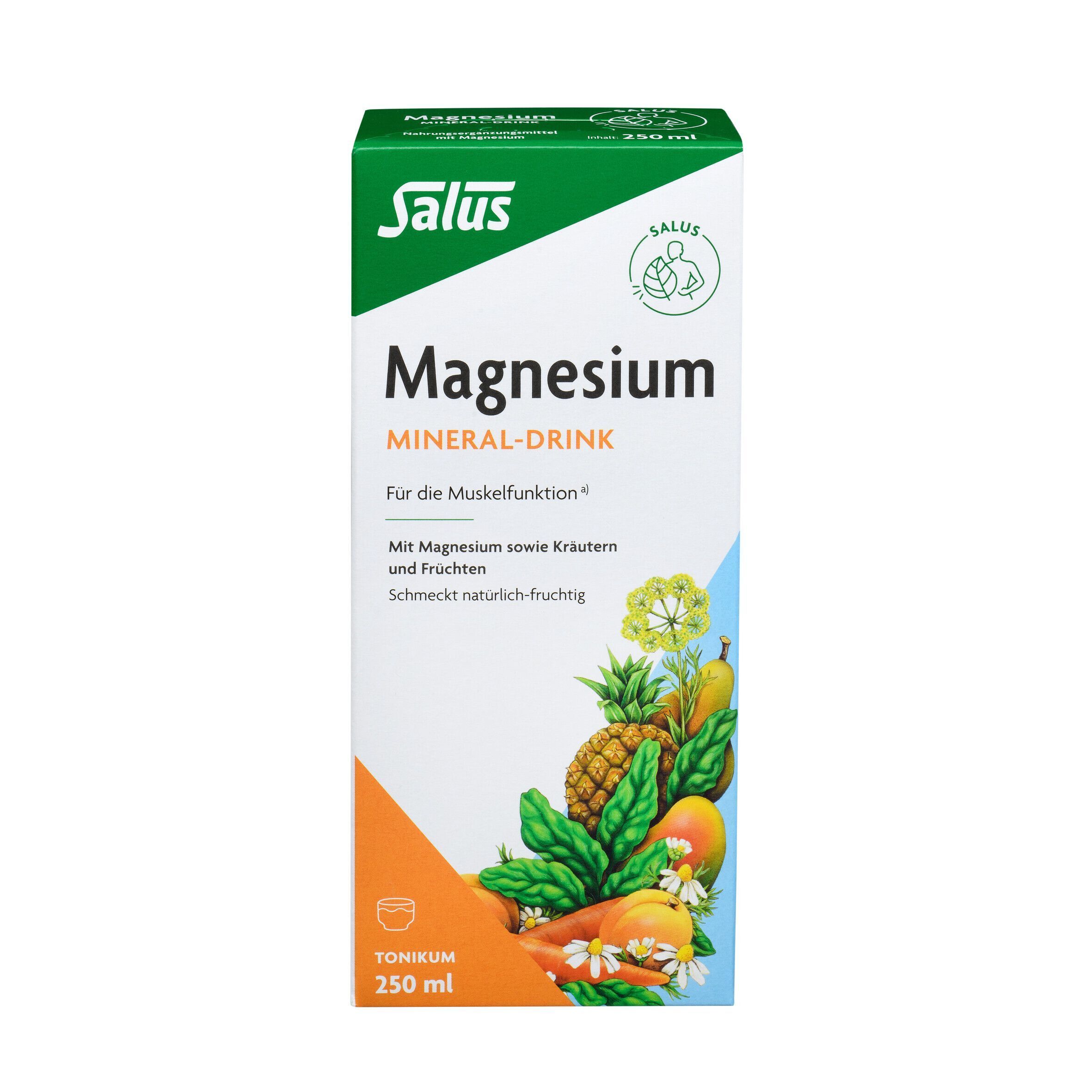 Karton Salus Magnesium Mineral-Drink, 250 ml, mit Abbildungen von Früchten und Kräutern.