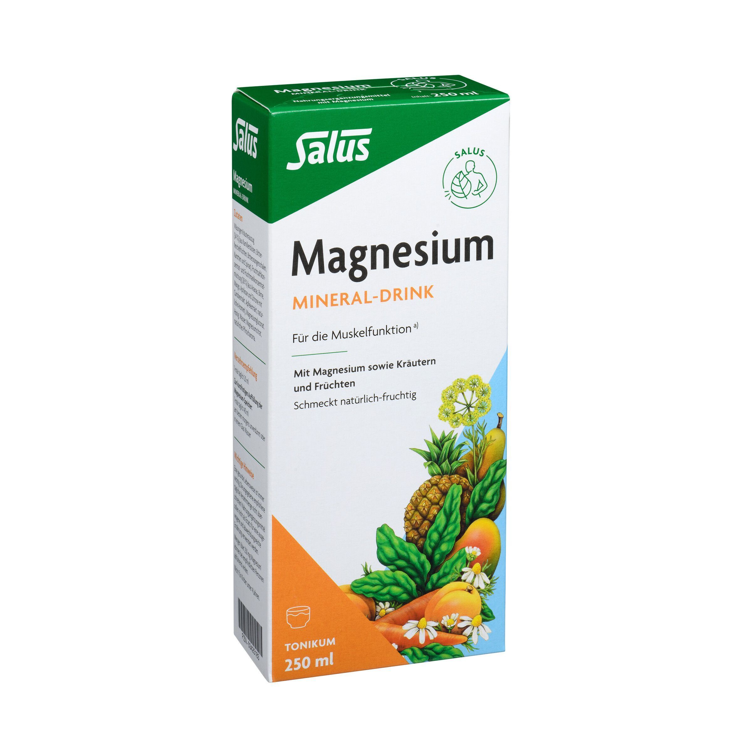 Karton Salus Magnesium Mineral-Drink, 250 ml, mit Abbildungen von Früchten und Kräutern.