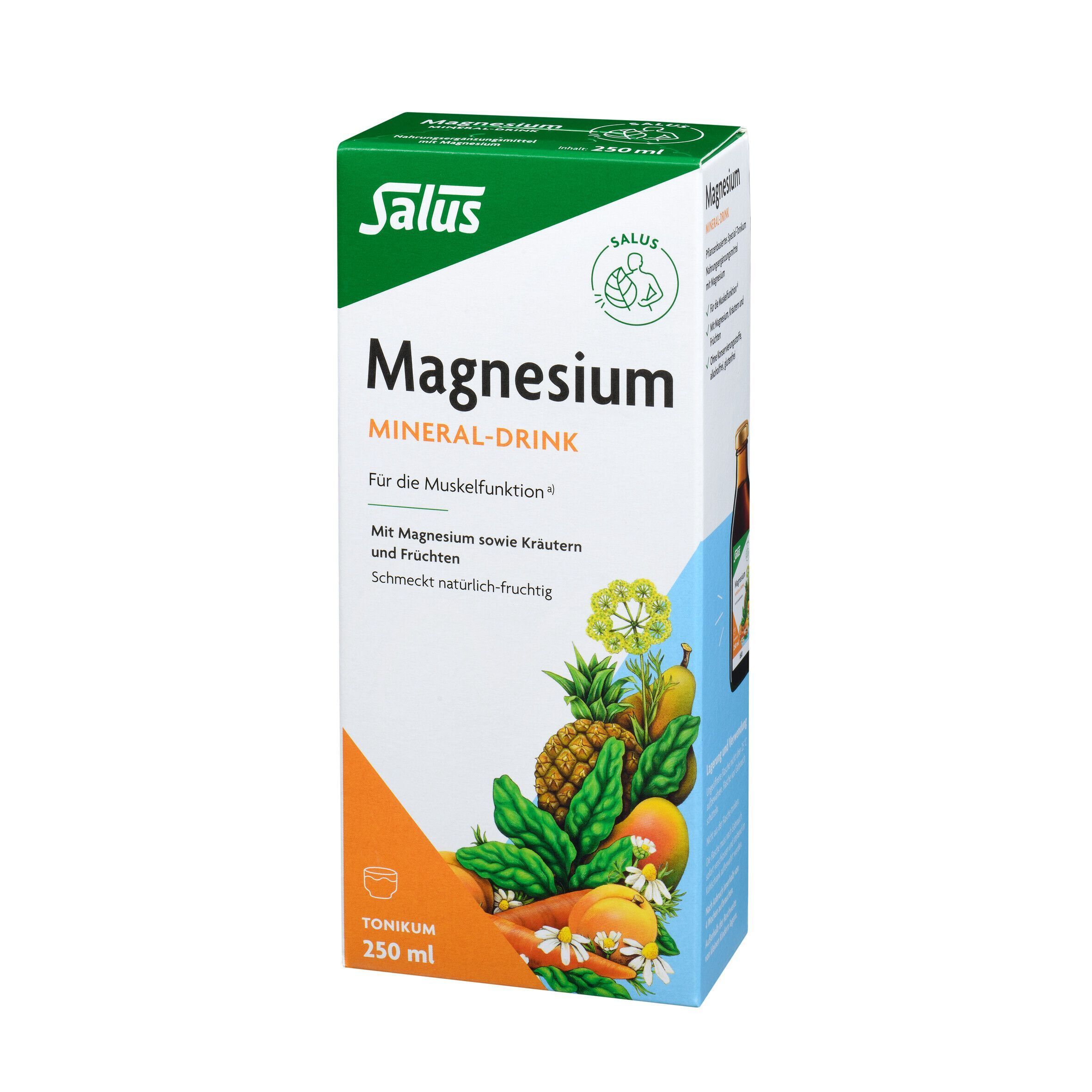 Karton Salus Magnesium Mineral-Drink, 250 ml, mit Abbildungen von Früchten und Kräutern.