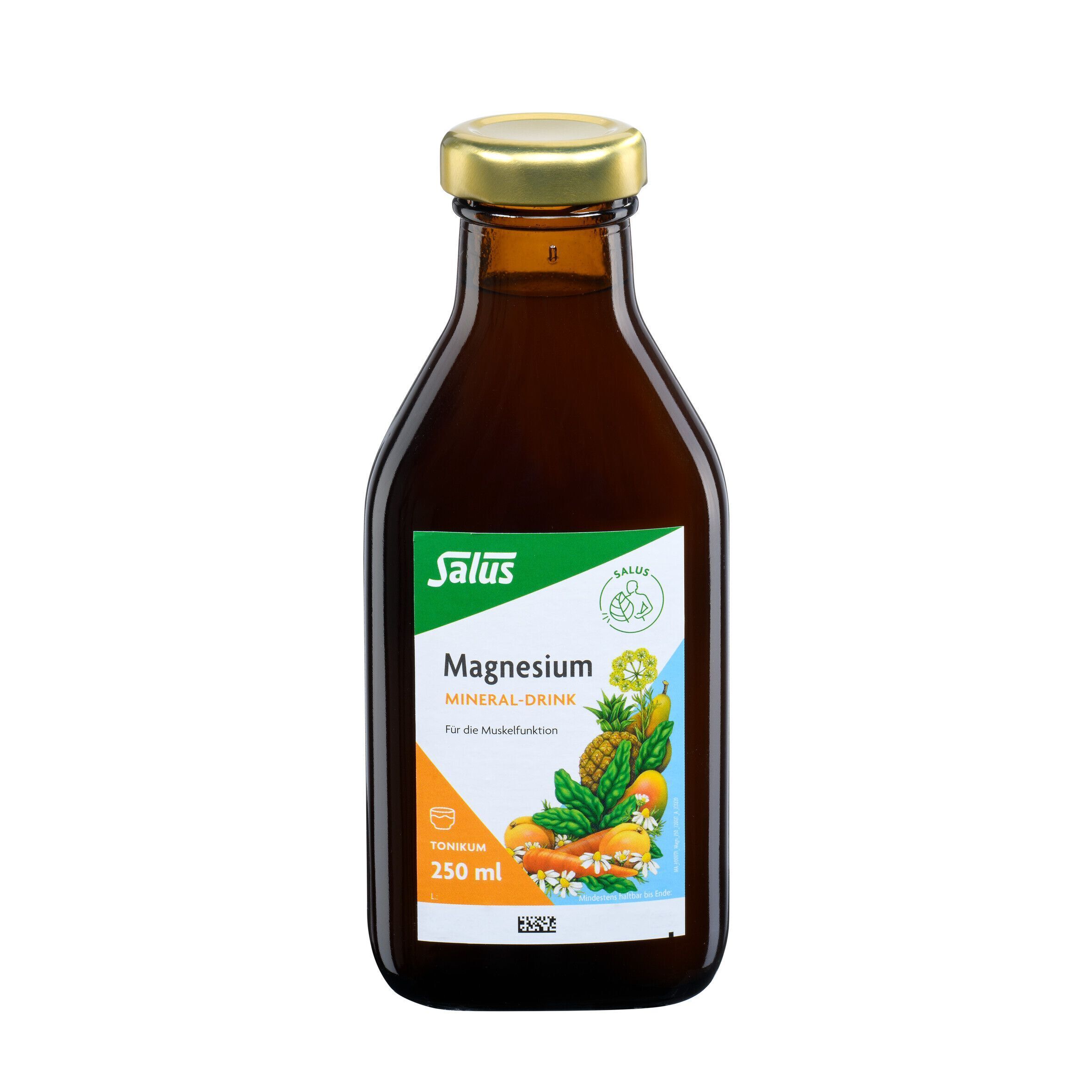 Flasche Salus Magnesium Mineral-Drink, 250 ml, mit Etikett, das Früchte und Kräuter zeigt.