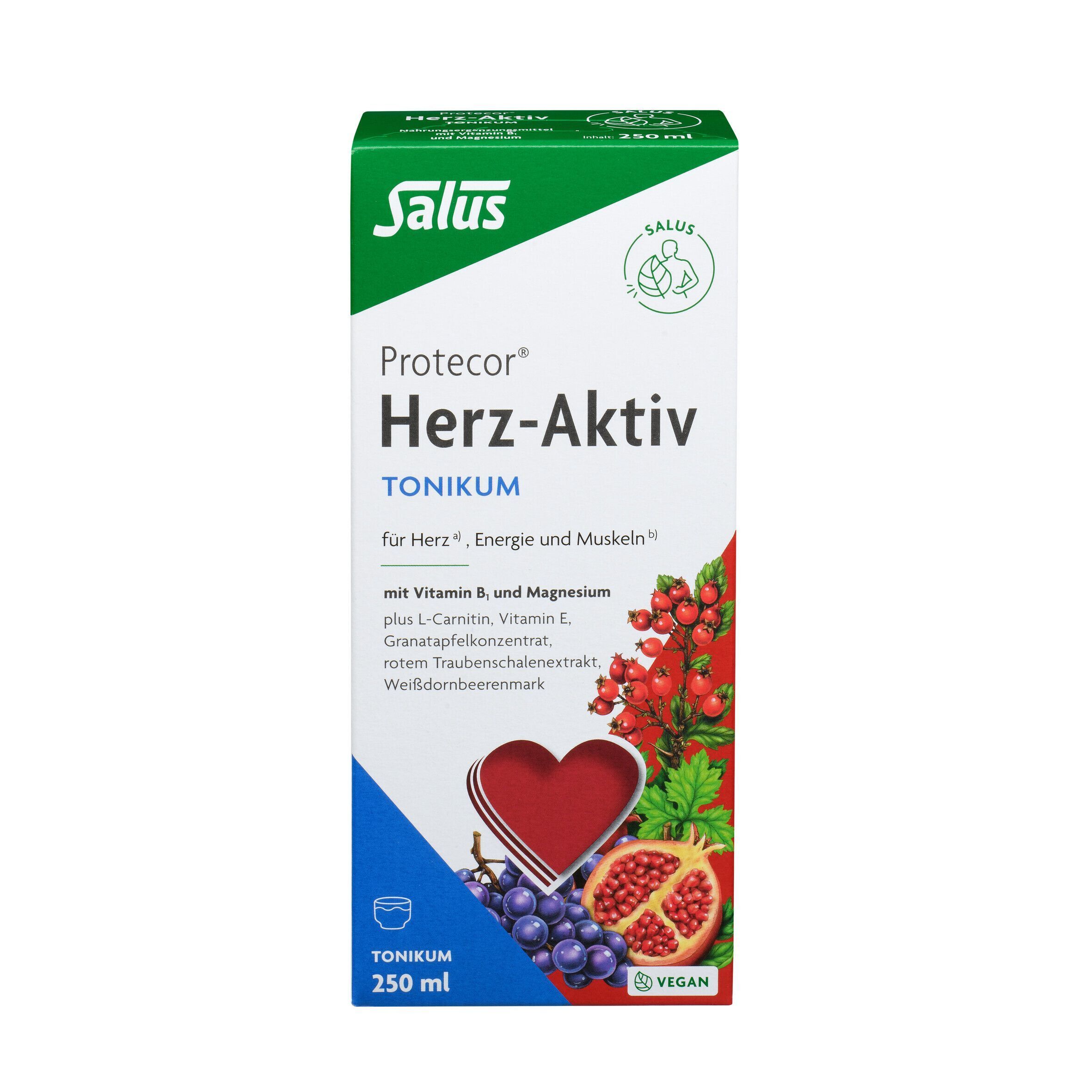 Eine Flasche Salus Protecor Herz-Aktiv Tonikum (250 ml) in grüner und weißer Verpackung mit Abbildung von Herz und Früchten.