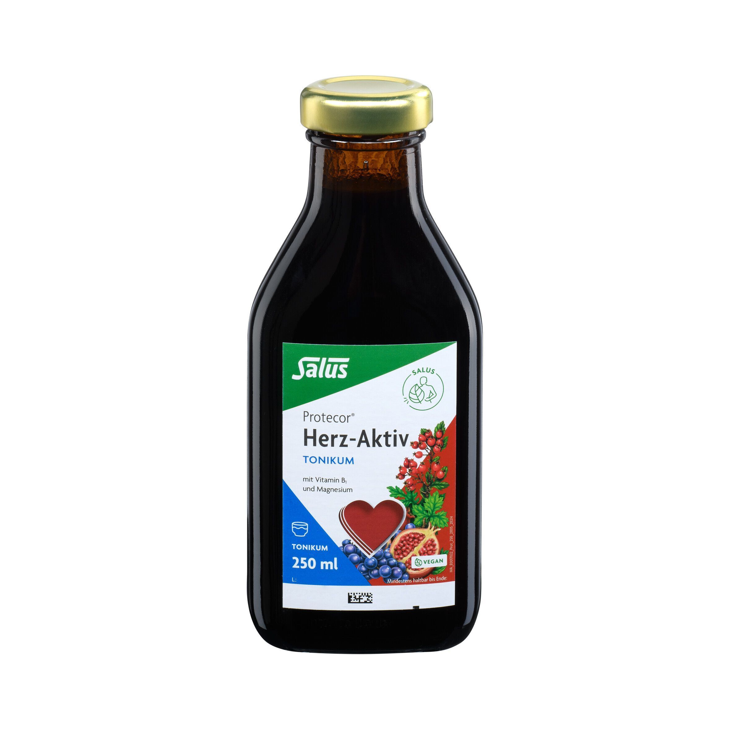 Eine Flasche Salus Protecor Herz-Aktiv Tonikum (250 ml) mit brauner Flüssigkeit und goldfarbenem Verschluss.