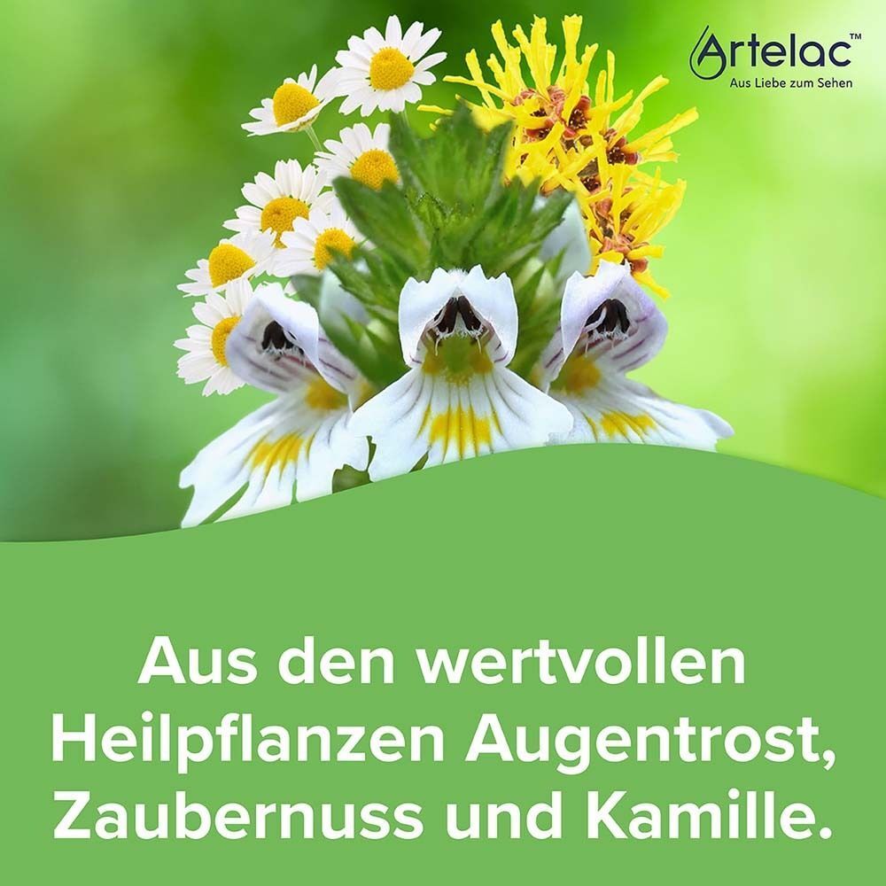 Blumenstrauß aus Augentrost, Zaubernuss und Kamille, mit Artelac Logo.
